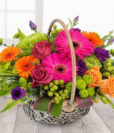 Fruit Burst - An orchestra of colour in one fabulous flower basket arrangement. Cerise Roses and Gerberas, orange Roses and Germini, purple Lisianthus married with Green Chrysanthemums.