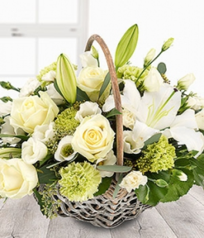 Timeless Beauty - An incredibly elegant pure white flower basket arrangement. White Roses, Lilies, Lisianthus and Spray Carnations coupled with green Carnations and just a hint of Rosemary in a wicker basket.