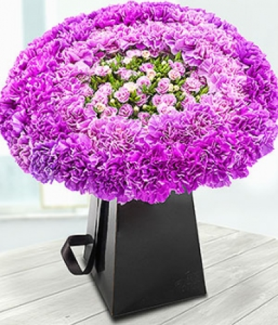 Panache - A fabulously flamboyant arrangement of dark purple Carnations and purple spray carnations in an elegant black iris vase.