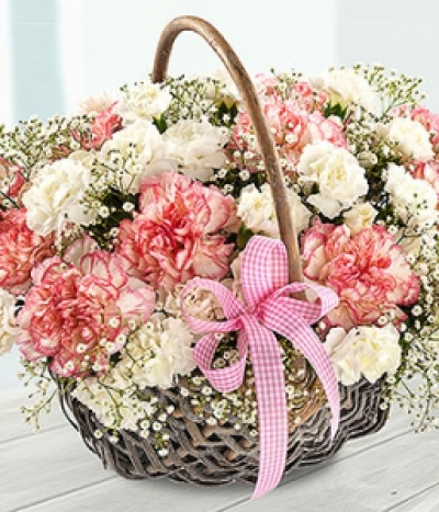 Beautiful Day - A very pretty Mother's Day flower Basket Arrangement featuring pink and white Carnations, white spray Carnations and Gypsophila. Simply stunning.