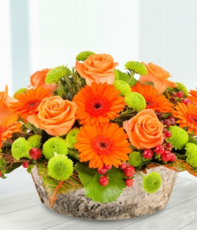 Copper Pot - A simply sumptuous flower arrangement. Orange Roses and Germini, mixed with green Spray Chrysanthemums and red Hypericum Berries beautifully presented in a silver bark pot.