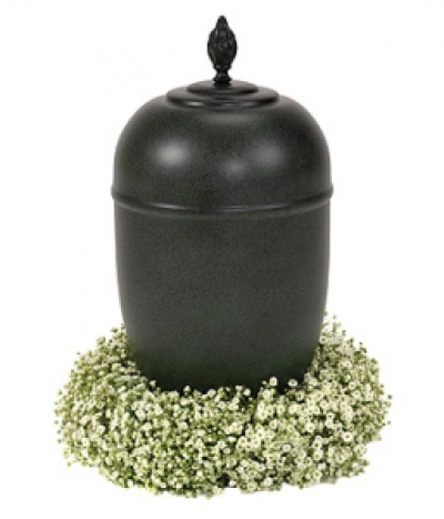Urn Wreath - A wreath of white Gypsophila creates a delicate base to an urn. Urn not included.