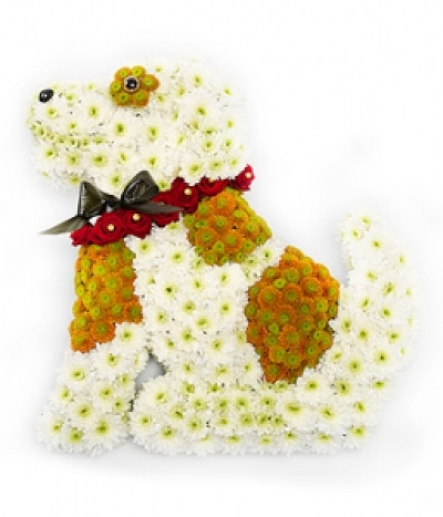 Dog Tribute - An adorable sitting dog tribute. White and bronze Chrysanthemums form the base of this design which is perfectly finished with a red Rose collar.