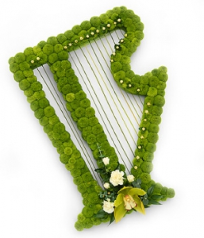 Irish Harp Tribute - A vivid green harp shaped tribute. A beautiful green Cymbidium Orchid with a flourish of cream Chrysanthemums sit perfectly on a bed of green spray Chrysanthemums.