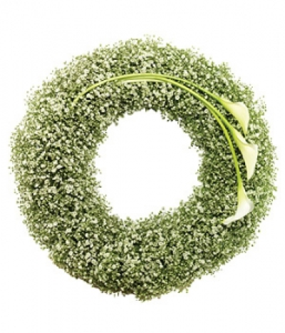 Calla Lily Wreath - A simply stunning white Gypsophila wreath featuring white Calla Lilies.