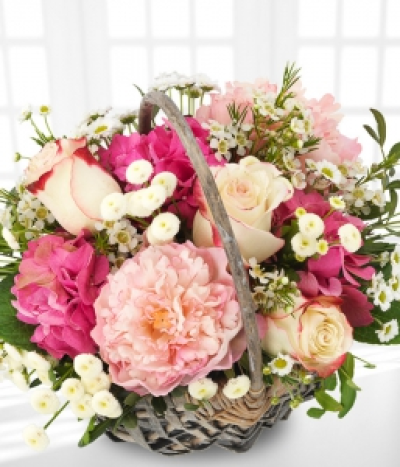 Watercolour Basket - A sumptuous basket arrangement of cerise hydrangea, vintage roses, santini chrysanthemums and pink peonies.