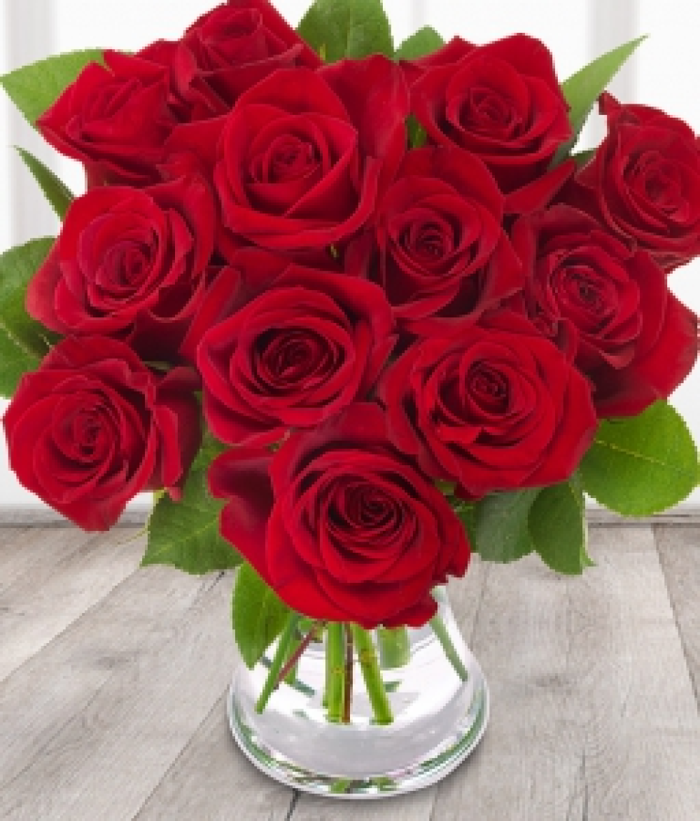 12 Red Roses