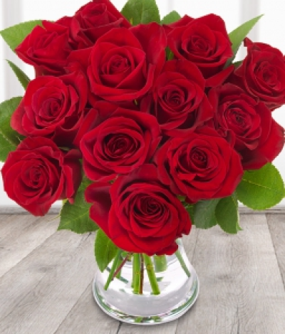 12 Red Roses - Bring some sunshine to their day with this gorgeous bouquet of 12 of the finest and freshest red Freedom Roses. Flowers will be delivered in bud for freshness.  Please Pre-Order day before.