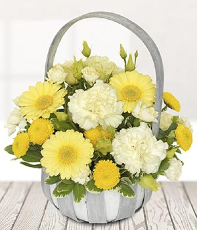 Sonny - A bright yellow basket with warm feel throughout. Cream carnations and soft yellow germini both highlights in this bright basket.