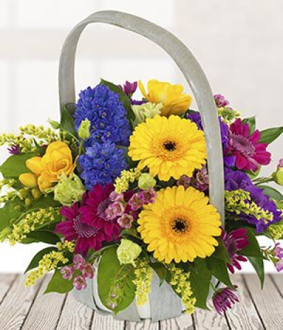 Bold Basket - A beautiful Spring Basket packed full of colourful flowers, including hyacinths, yellow gerbera and a dash of yellow freesia. Complemented by a flurry of purple and pink flowers, displayed in a wonderful basket to delight your recipient this spring.